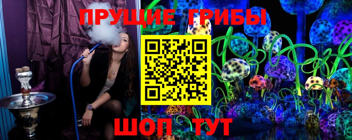 Псилоцибиновые грибы Psilocybe Зима
